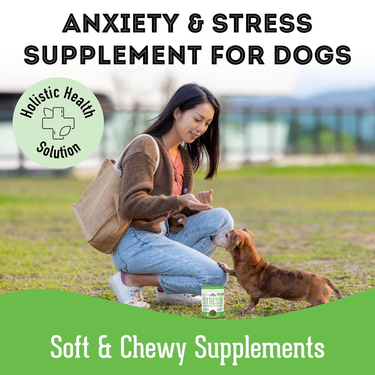 Soft & Chewy Supplement Calming Supplement For Dogs 150g