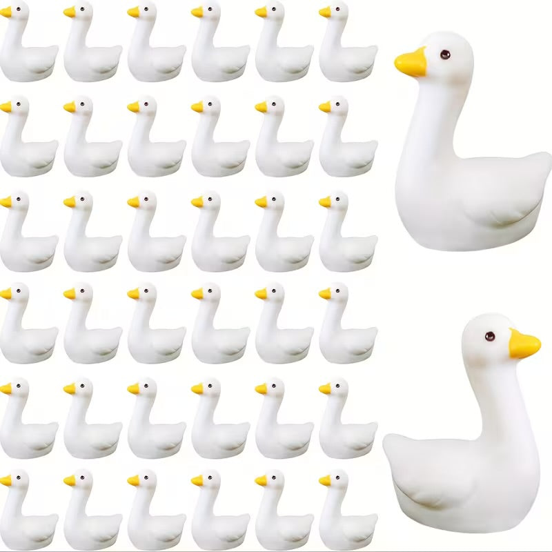 Little Goose