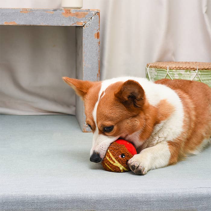 HugSmart Pet - Food Party | Spaghetti Meatball - Ball Toy