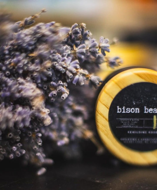 ReWilding Roses Bison Beauty