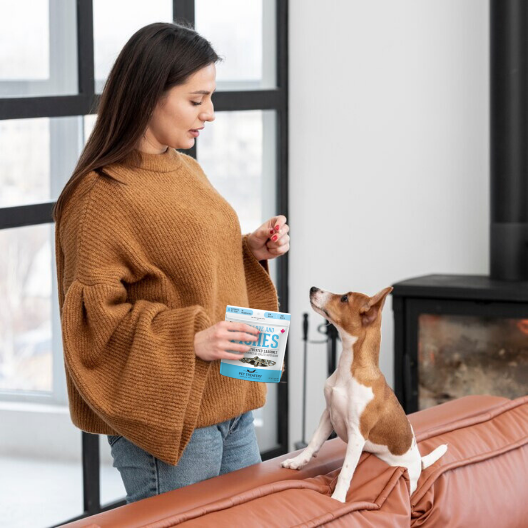 Sardines Dehydrated Pet Treats: High-Protein & Natural 400g