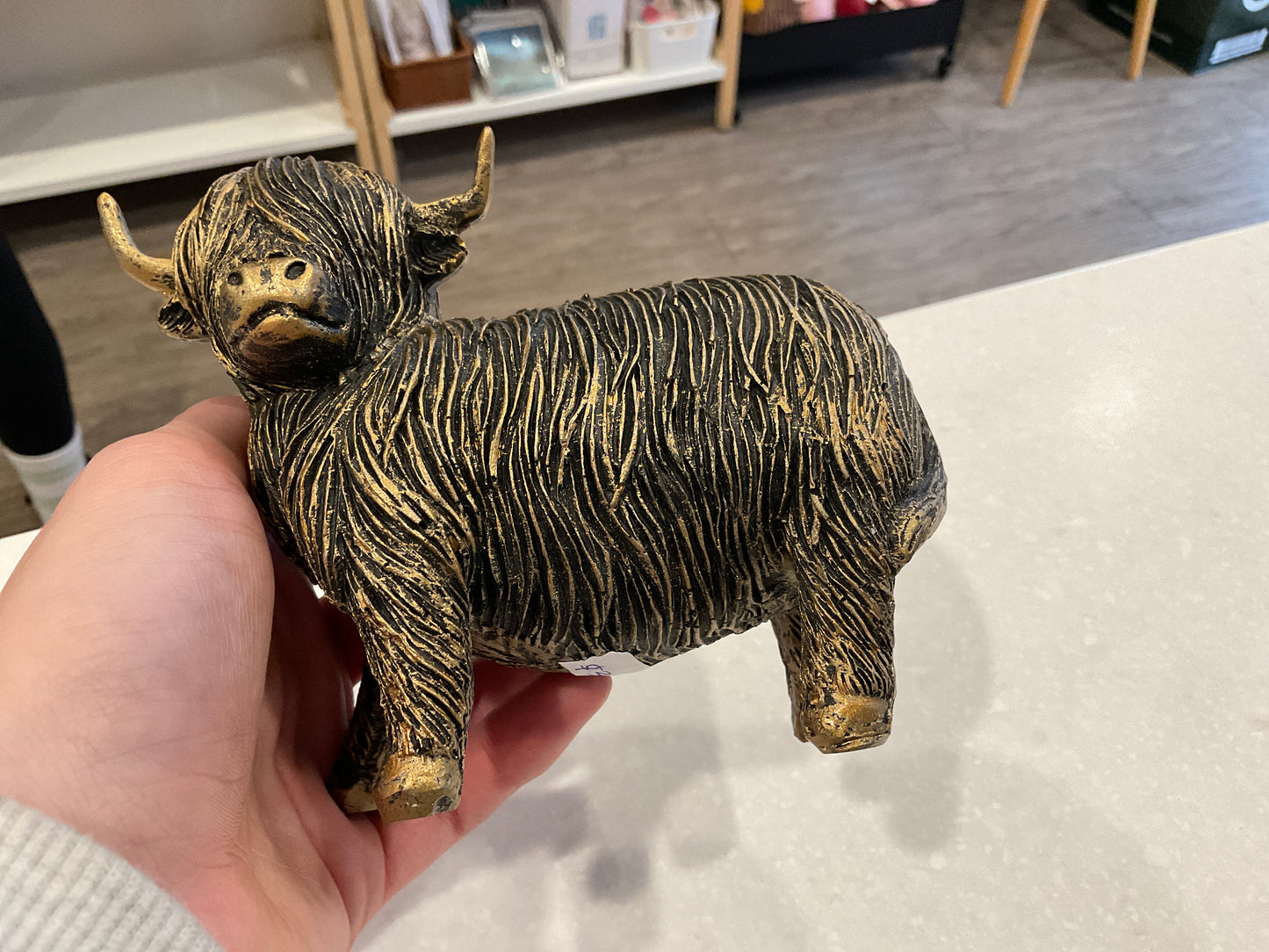 Large Gold Highland Cows