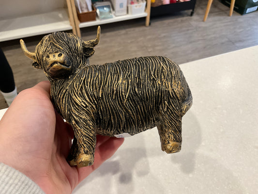 Large Gold Highland Cows