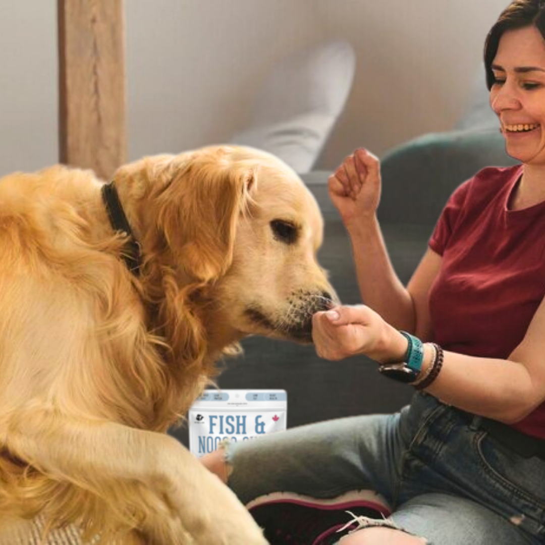 Fish & Noooo Chips: Cod Skin Dehydrated Pet Treats: High-Protein & Low-Calorie