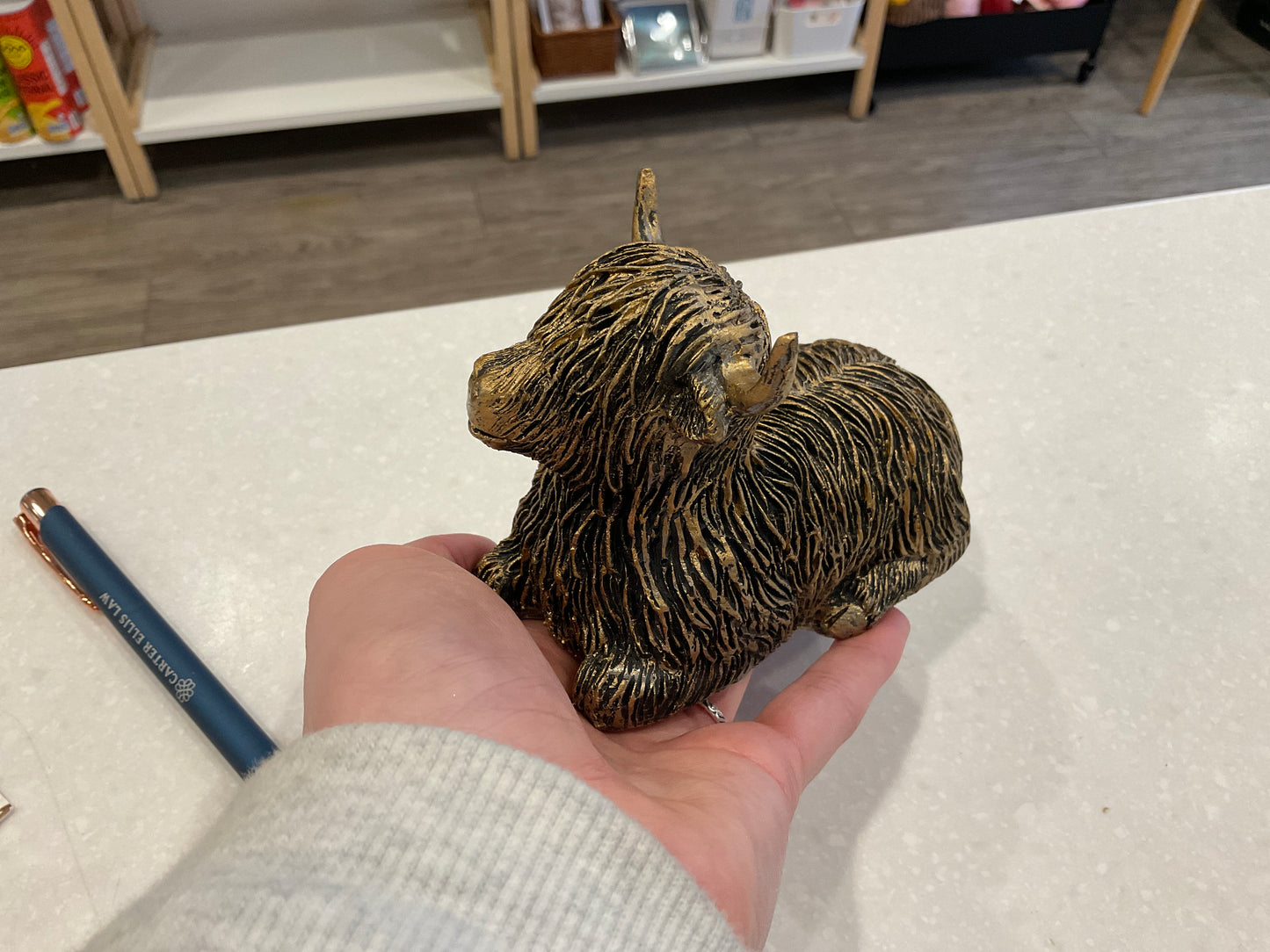 Large Gold Highland Cows