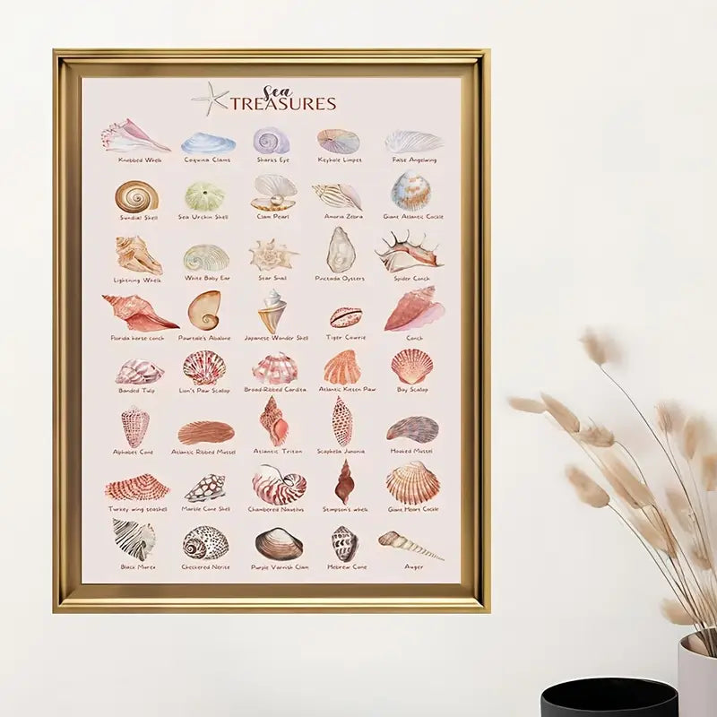 Seashell Treasures Of The Ocean Wall Art Canvas