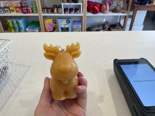 Reindeer - Secret Cove Candles