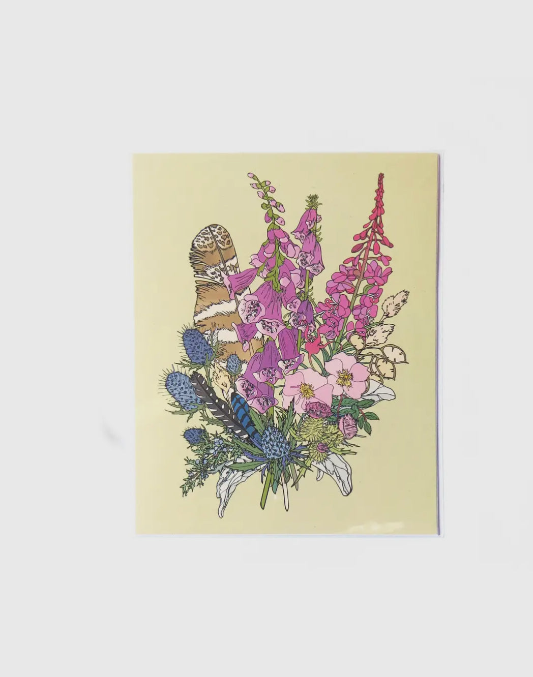 Wild Life Foxglove and Feathers Print