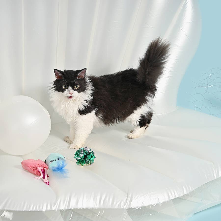 HugSmart Pet - Ocean Pals  | Jellyfish&Squid - Cat Toy