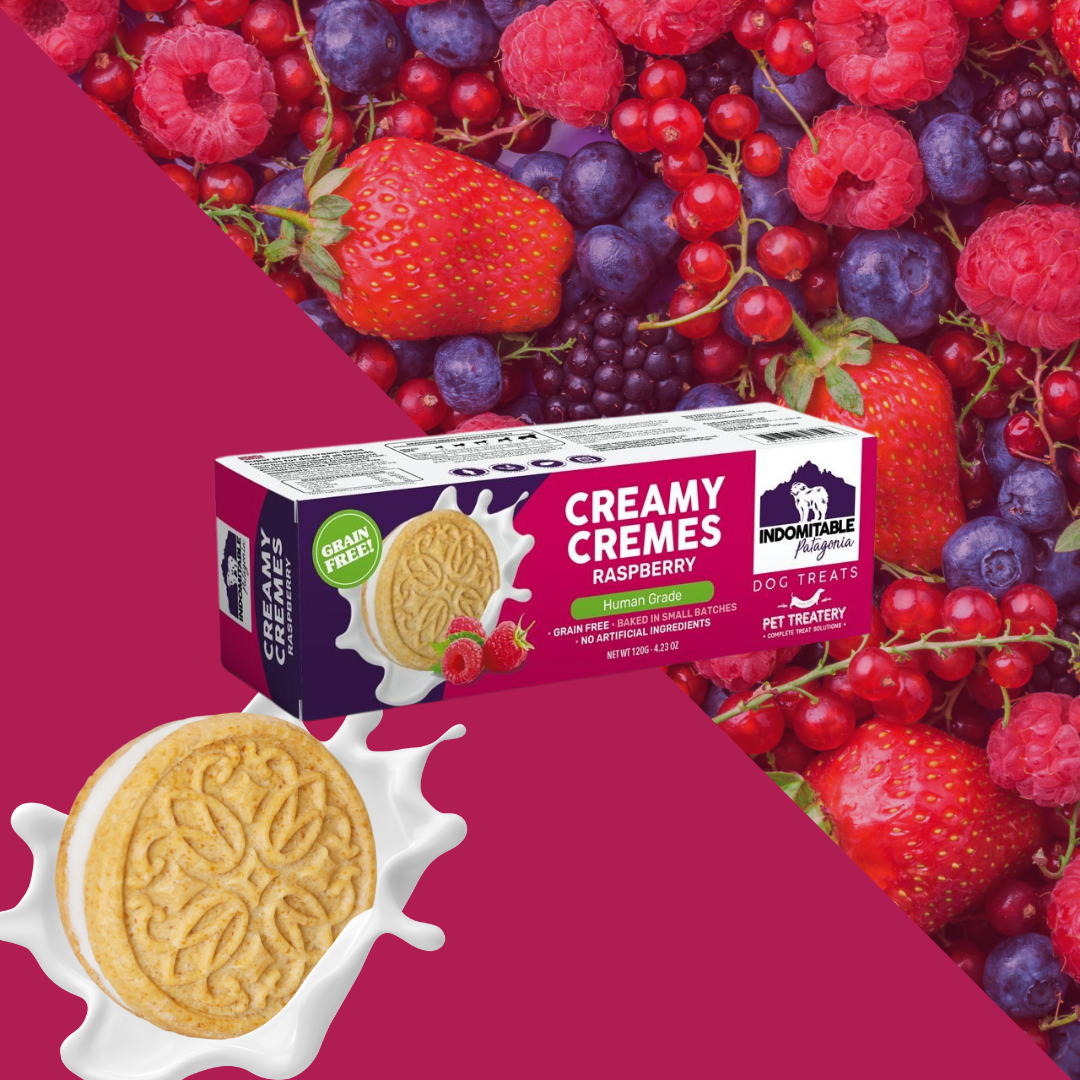 Dog Biscuits Grain Free Creamy Cremes Raspberry Patagonia