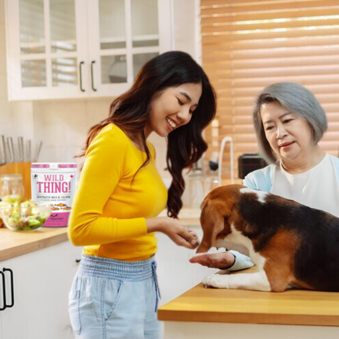 Wild Salmon Dehydrated Pet Treats: Omega-3 & High-Protein