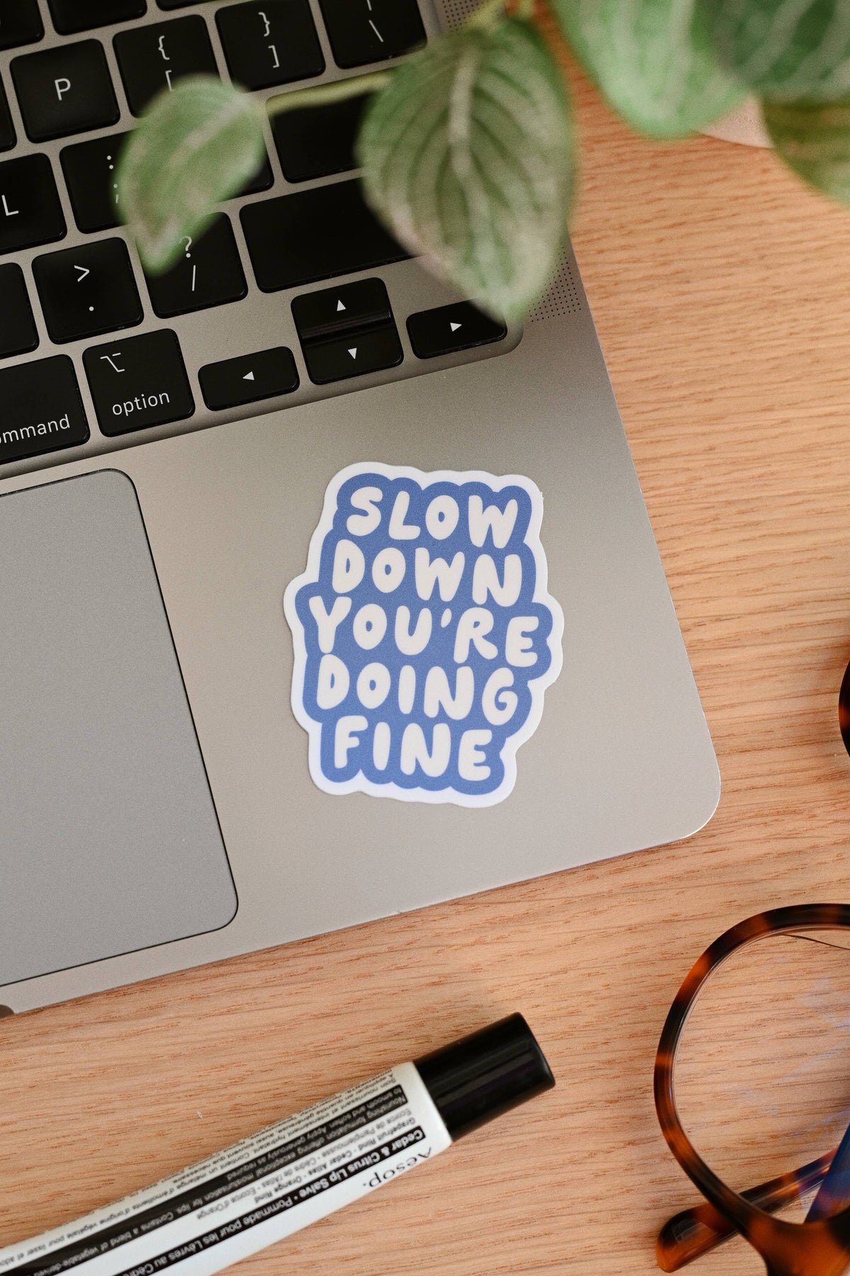 Slow Down You're Doing Fine - Mental Health Vinyl Sticker
