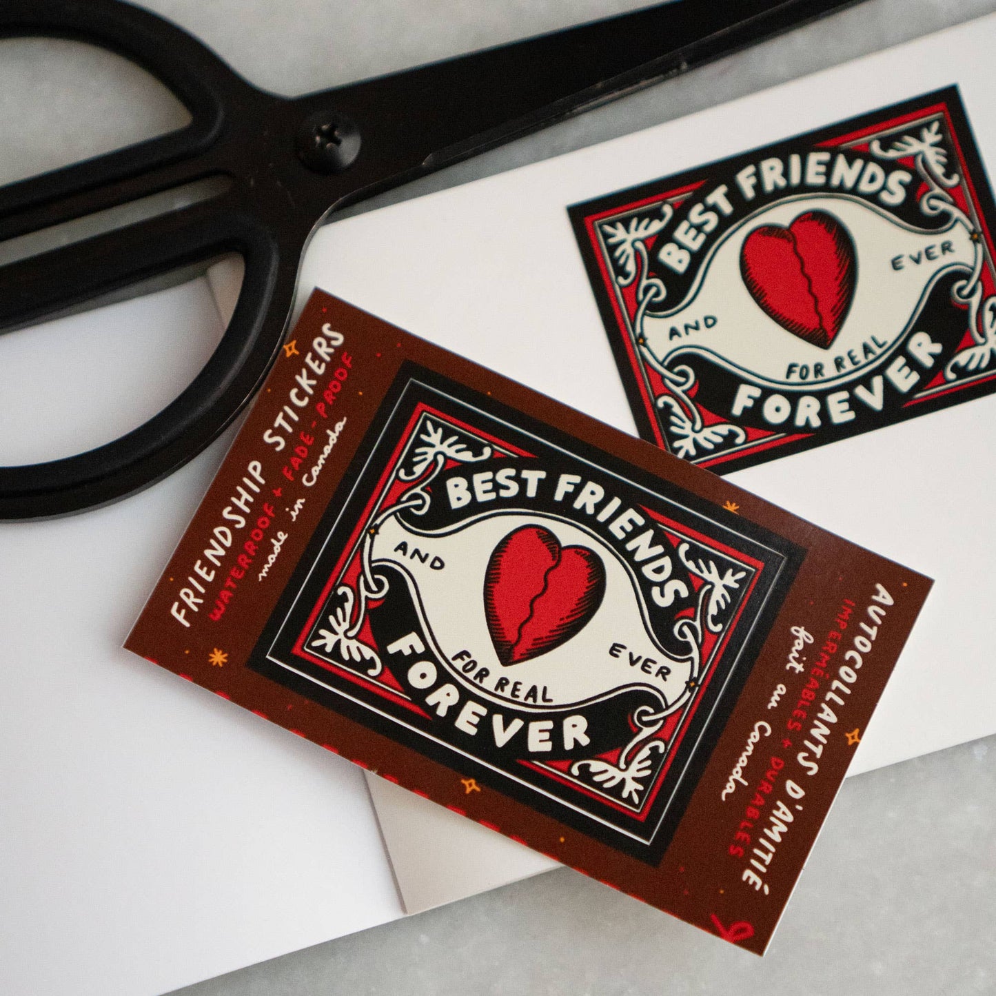 Best Friends Sticker Set | Giftable Friendship Stickers
