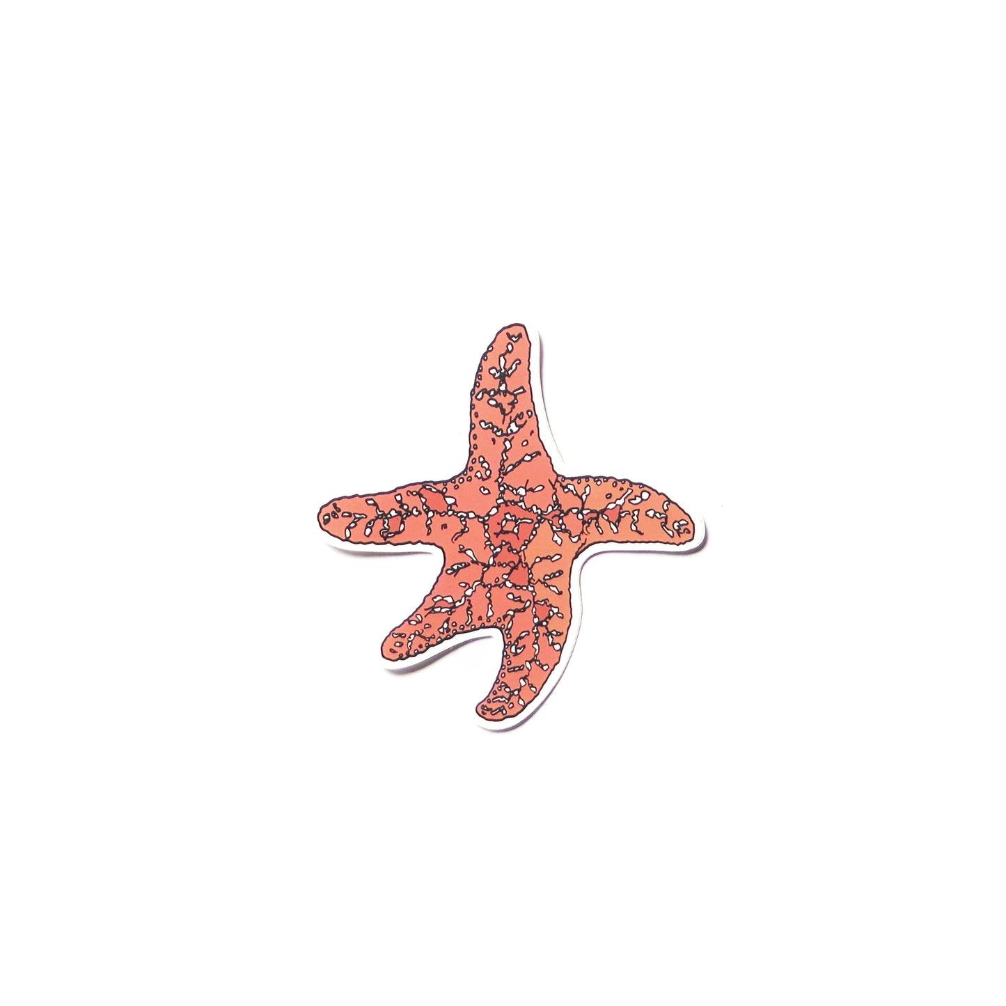 Orange Sea Star Sticker