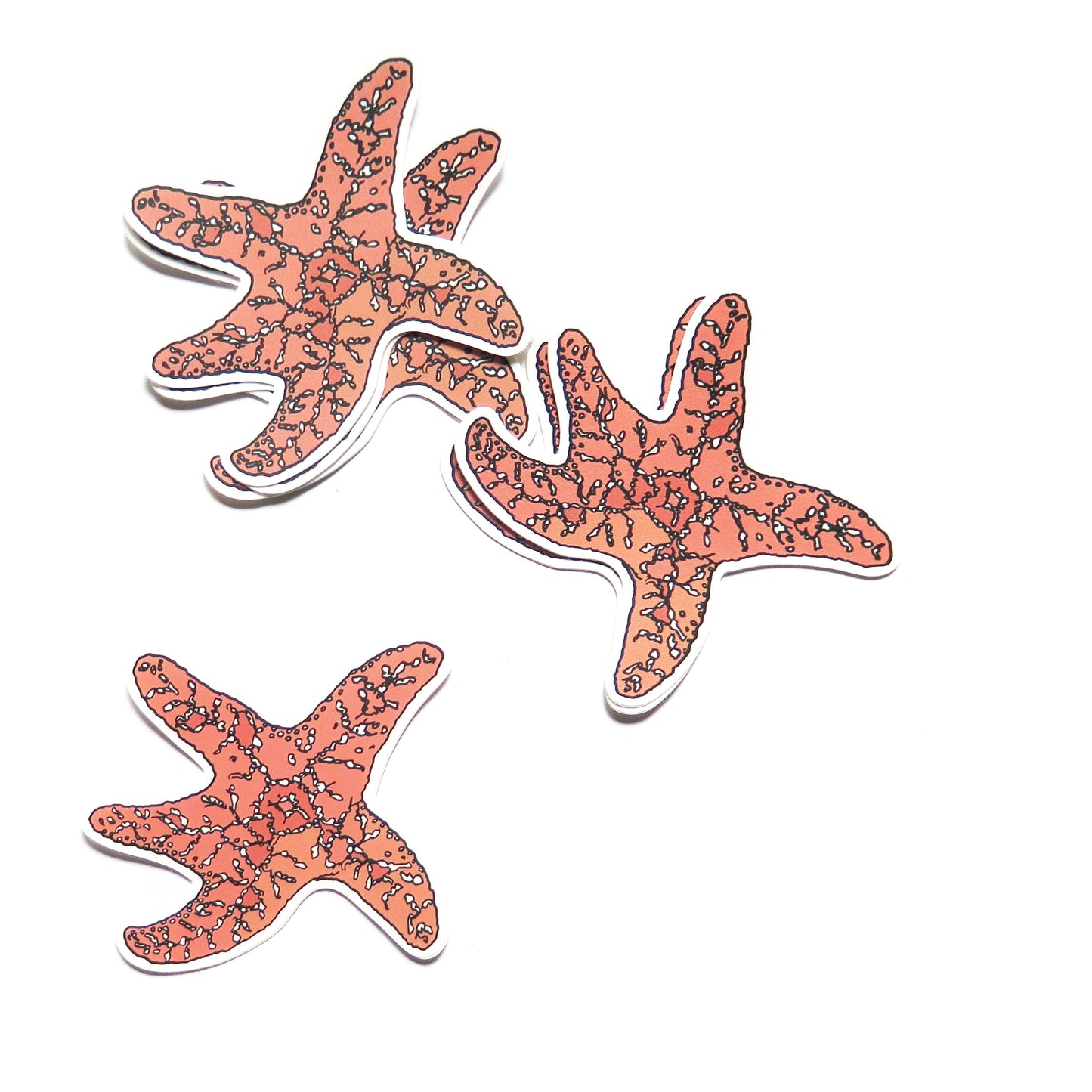 Orange Sea Star Sticker