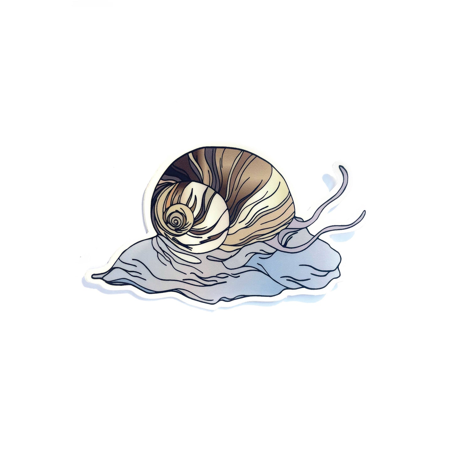 Moon Snail Sticker
