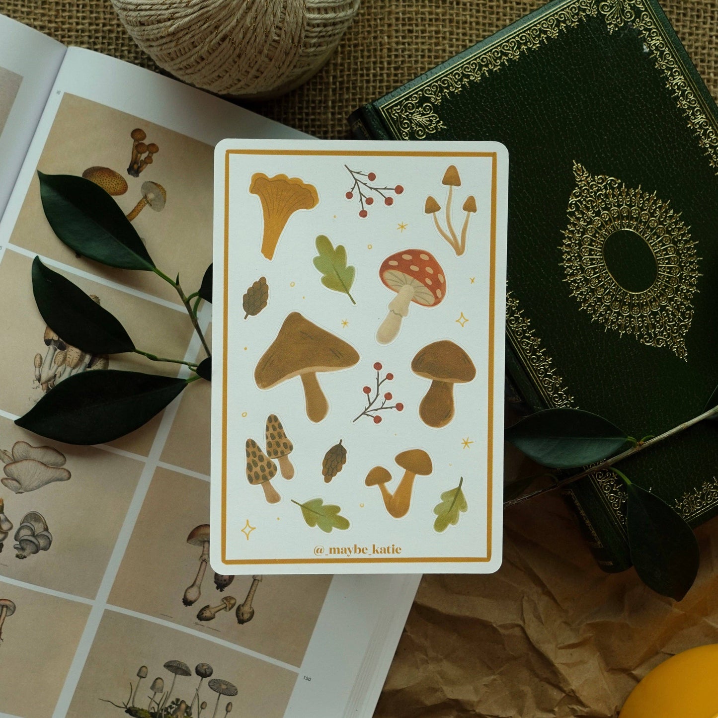 Mushrooms - Sticker Sheet