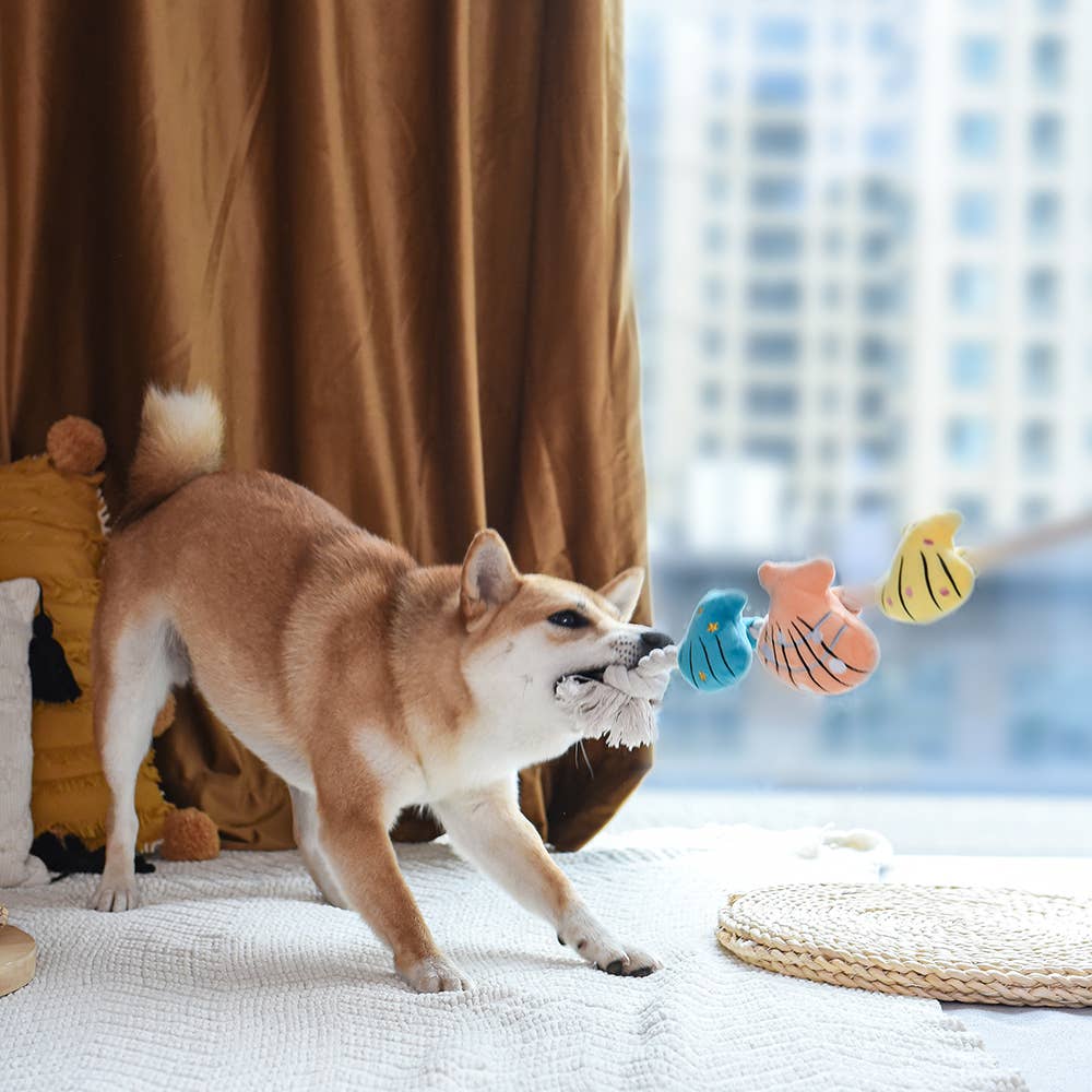 HugSmart Pet - Pirate Pups    | Shell Necklace - Rope Toy