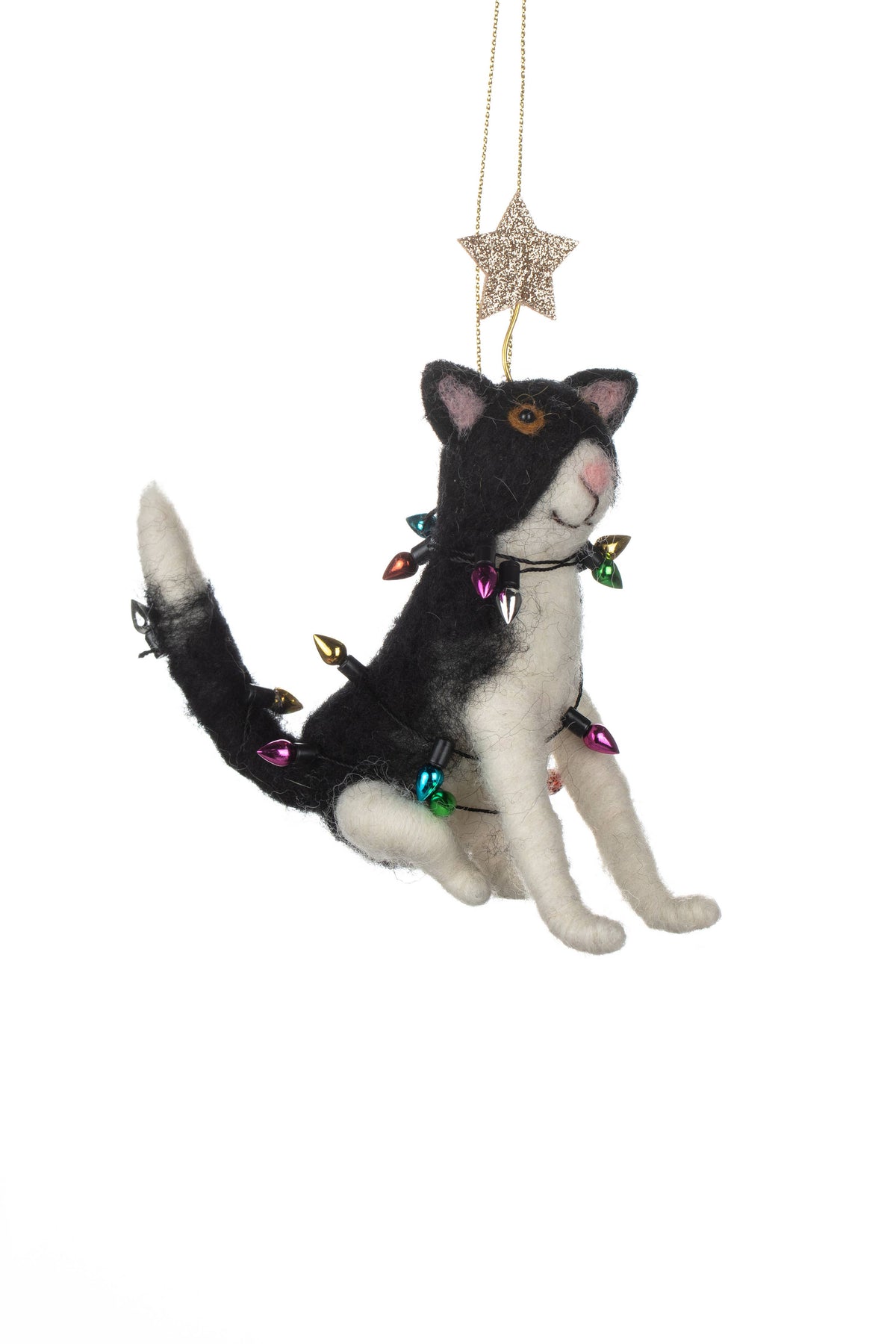Cat In Fairy Lights
