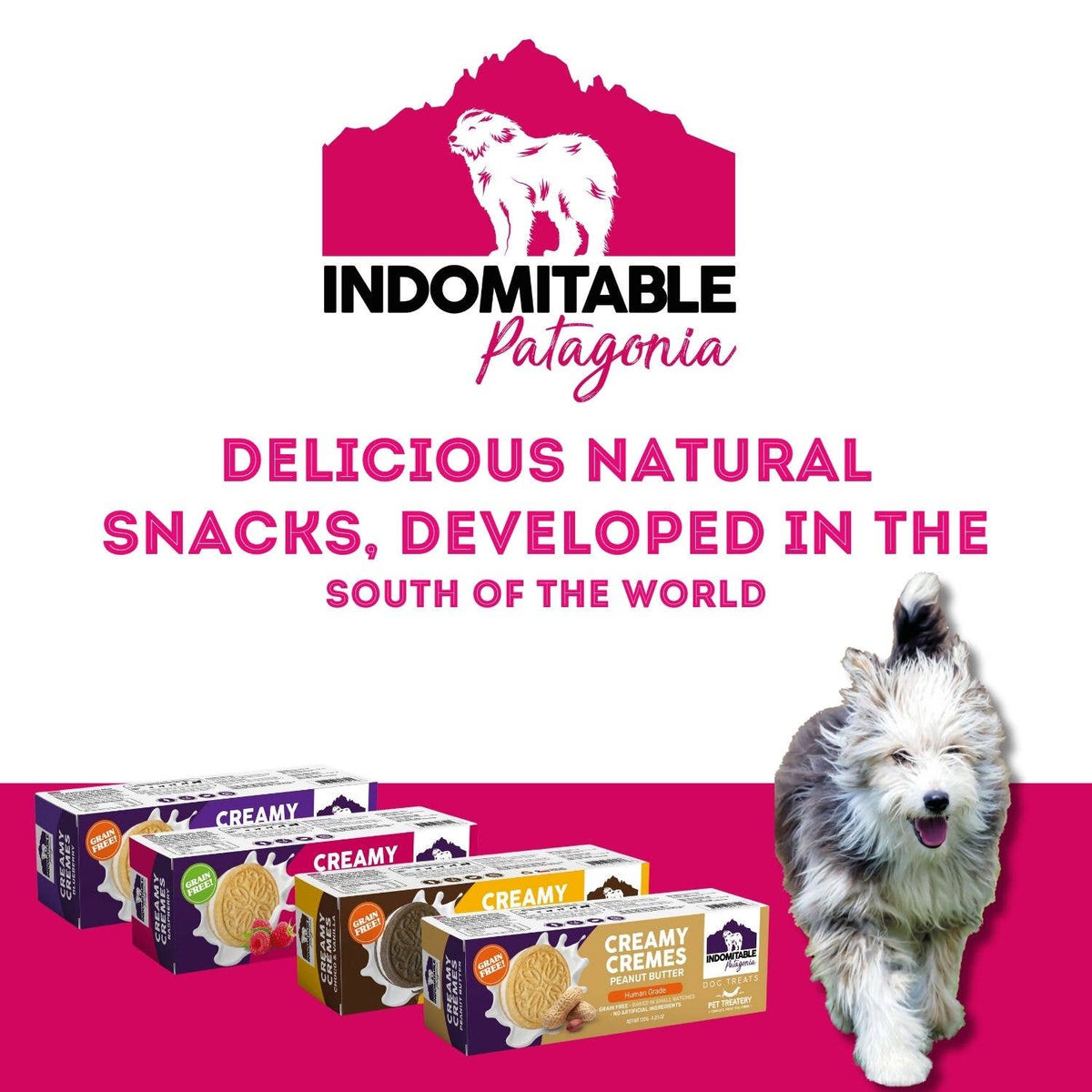 Dog Biscuits Grain Free Creamy Cremes Raspberry Patagonia