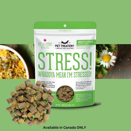 Soft & Chewy Supplement Calming Supplement For Dogs 150g