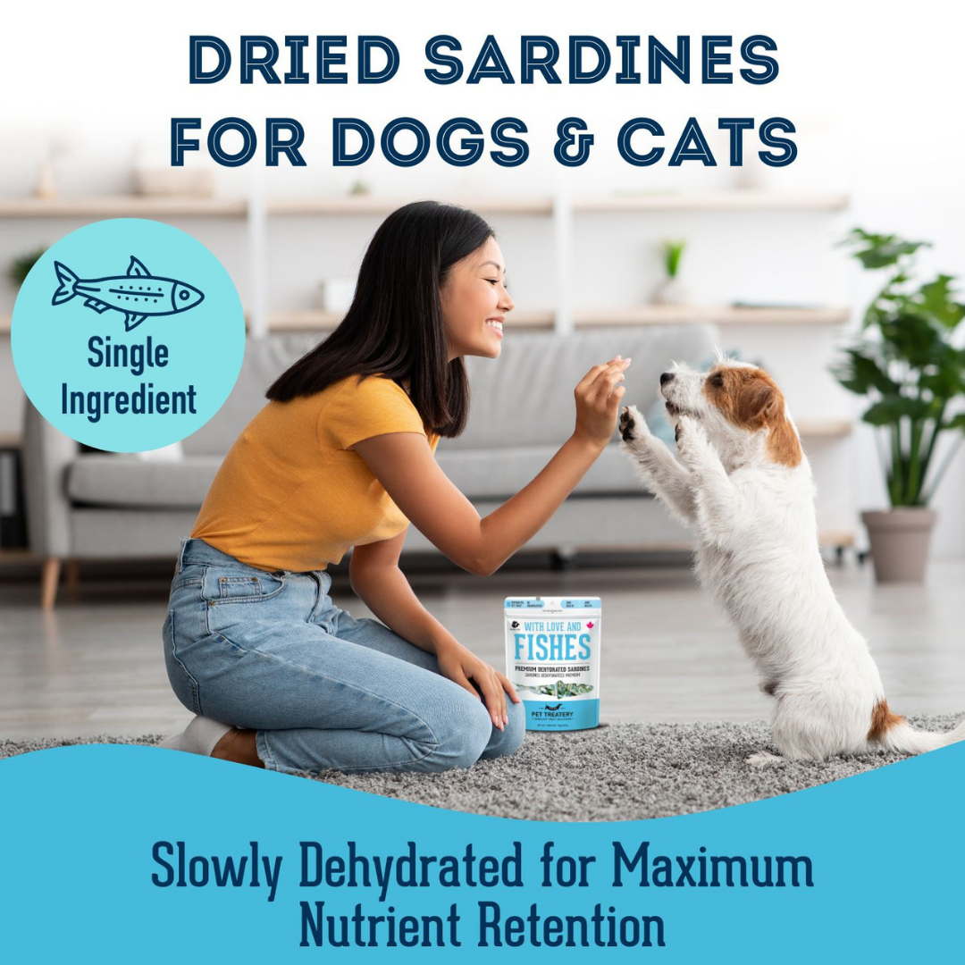 Sardines Dehydrated Pet Treats: High-Protein & Natural 400g