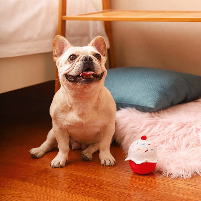 HugSmart Pet - Woof Love | Cupcake - Dog Ball Toy