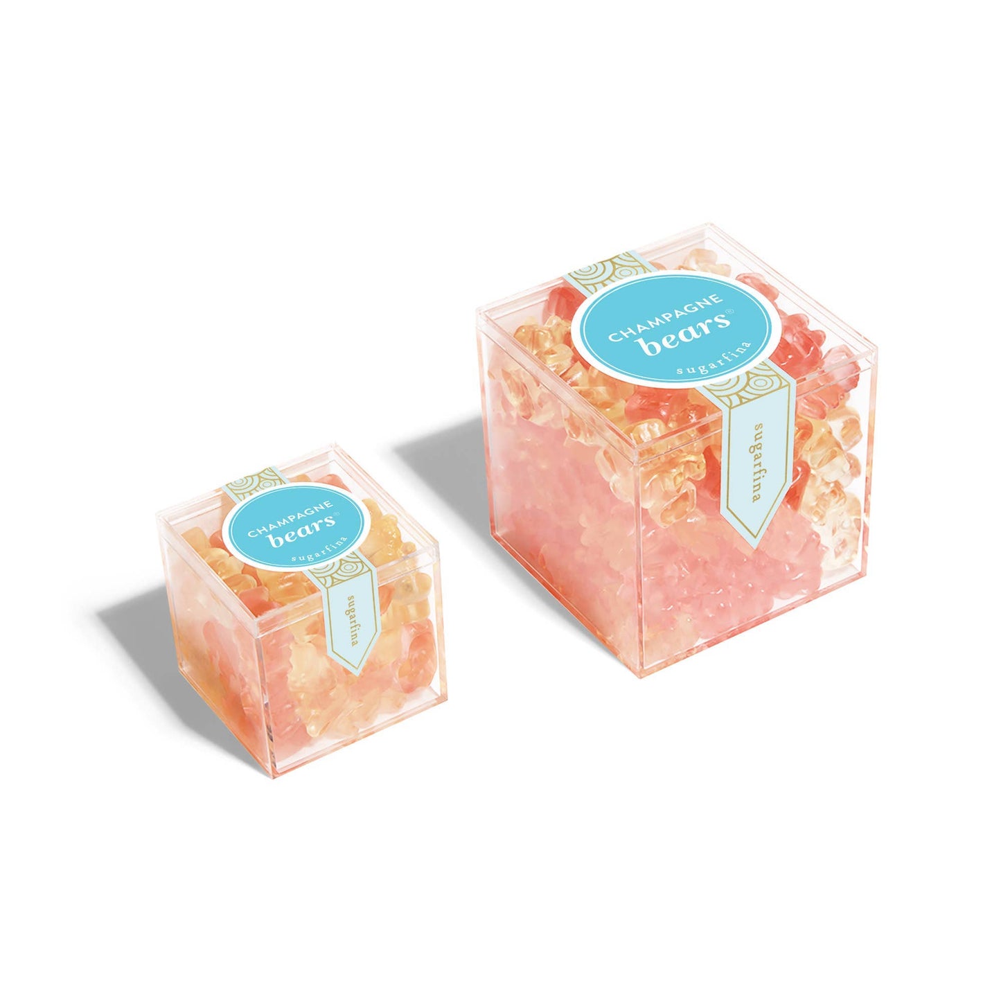 Champagne Bears® - Large
