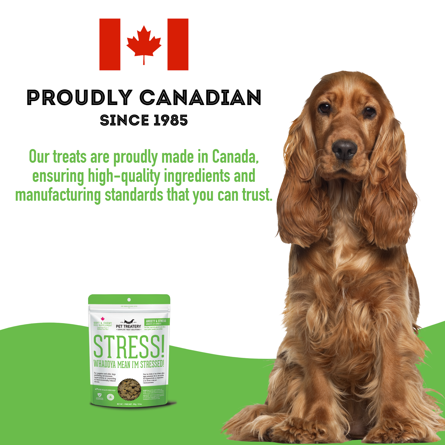 Soft & Chewy Supplement Calming Supplement For Dogs 150g