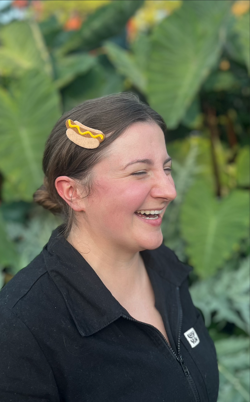 Hotdog Barrettes | Felt Barrettes | Hair Accessories