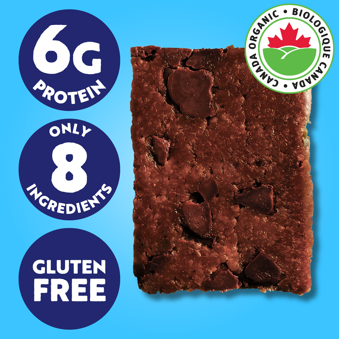 Mint Chocolate Chip | Organic Real Food Bar