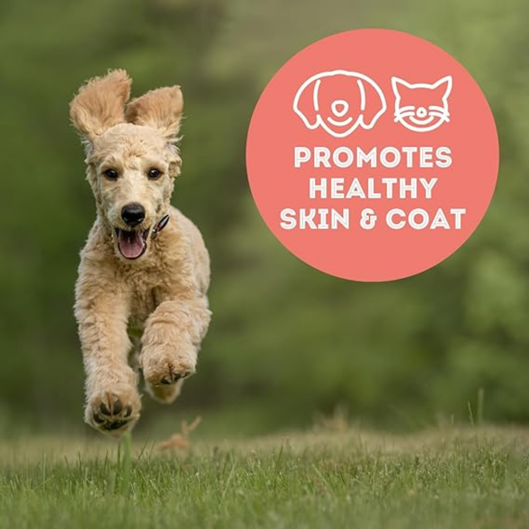 [CA only]Tuna Flakes Freeze-Dried Pet Treats Omega-3