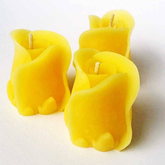 East Van Rose Bud - 100% Beeswax Candle