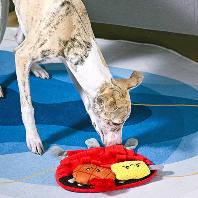 OrilandPet - Beach Daze | BBQ Grill - Dog Plush Toy