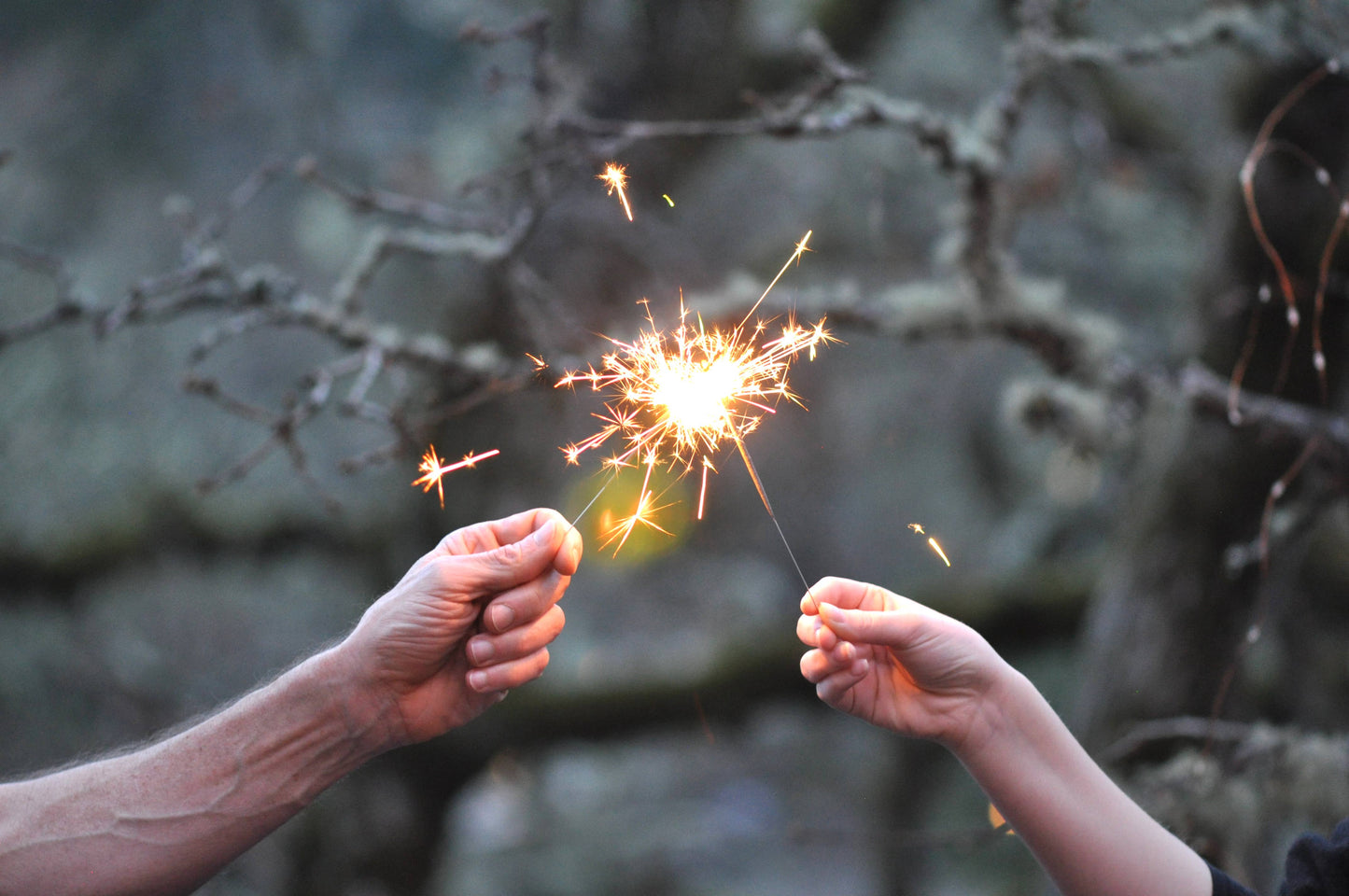 Single Sparkler Celebrate - Assortment of Colors