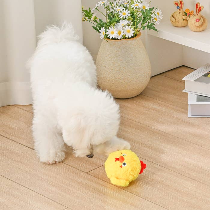 HugSmart Pet -  Farm Friend | Chick - Dog Ball Toy