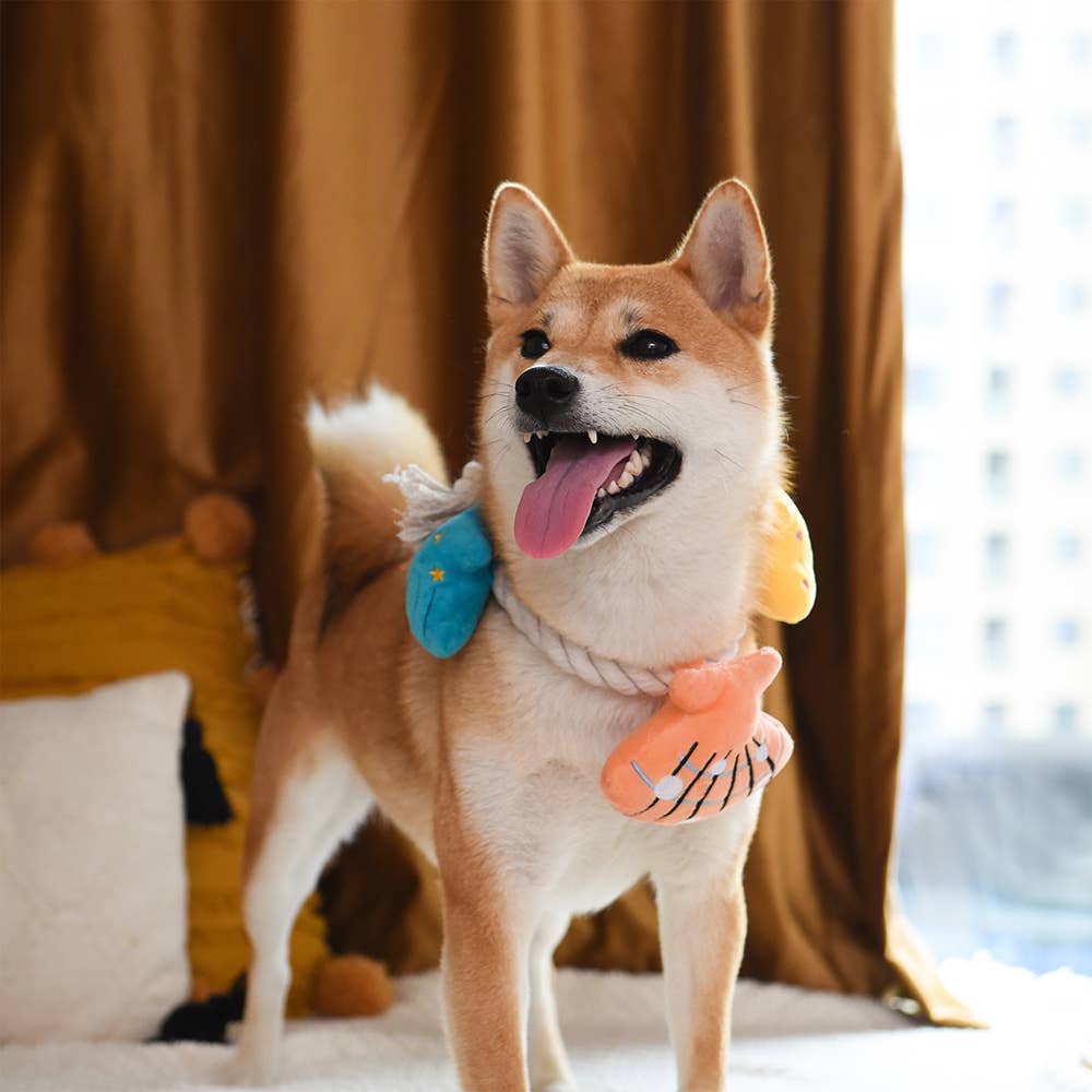 HugSmart Pet - Pirate Pups    | Shell Necklace - Rope Toy