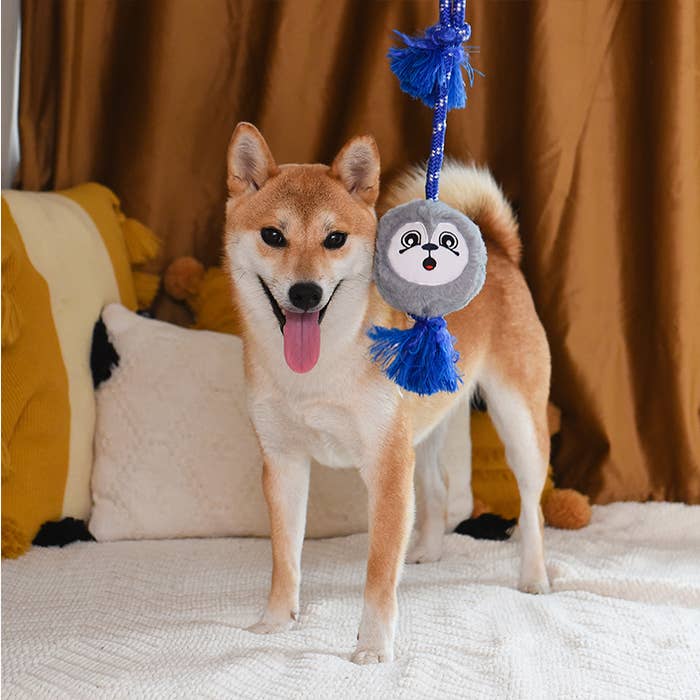 HugSmart Pet - Fluffy Tuggerz | Sea Lion - Dog Rope Toy