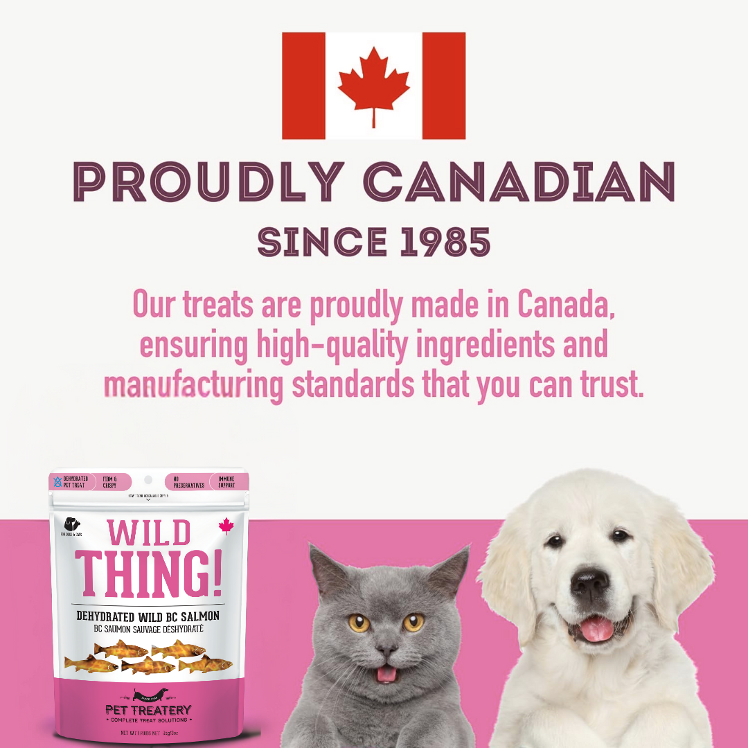 Wild Salmon Dehydrated Pet Treats: Omega-3 & High-Protein